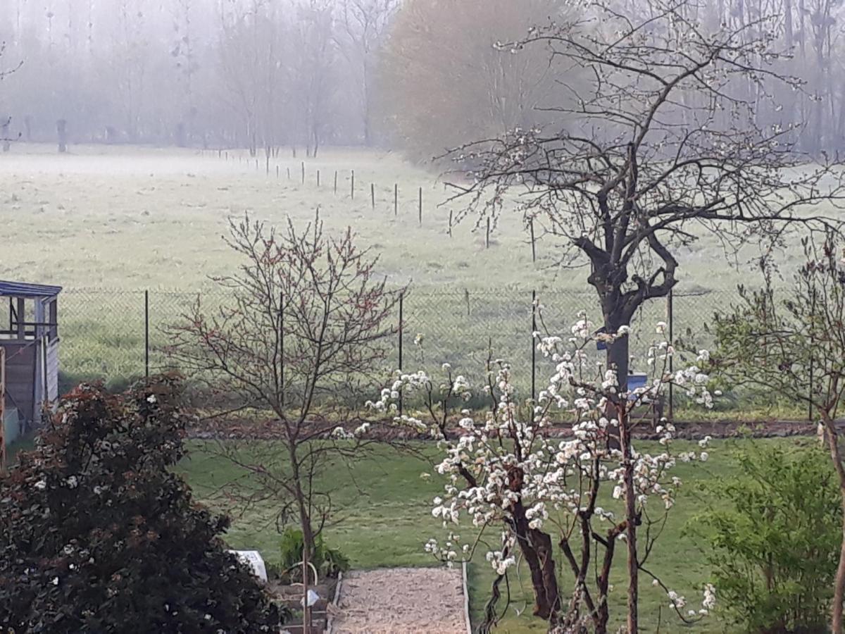 DrainBedloire住宿加早餐旅馆 外观 照片