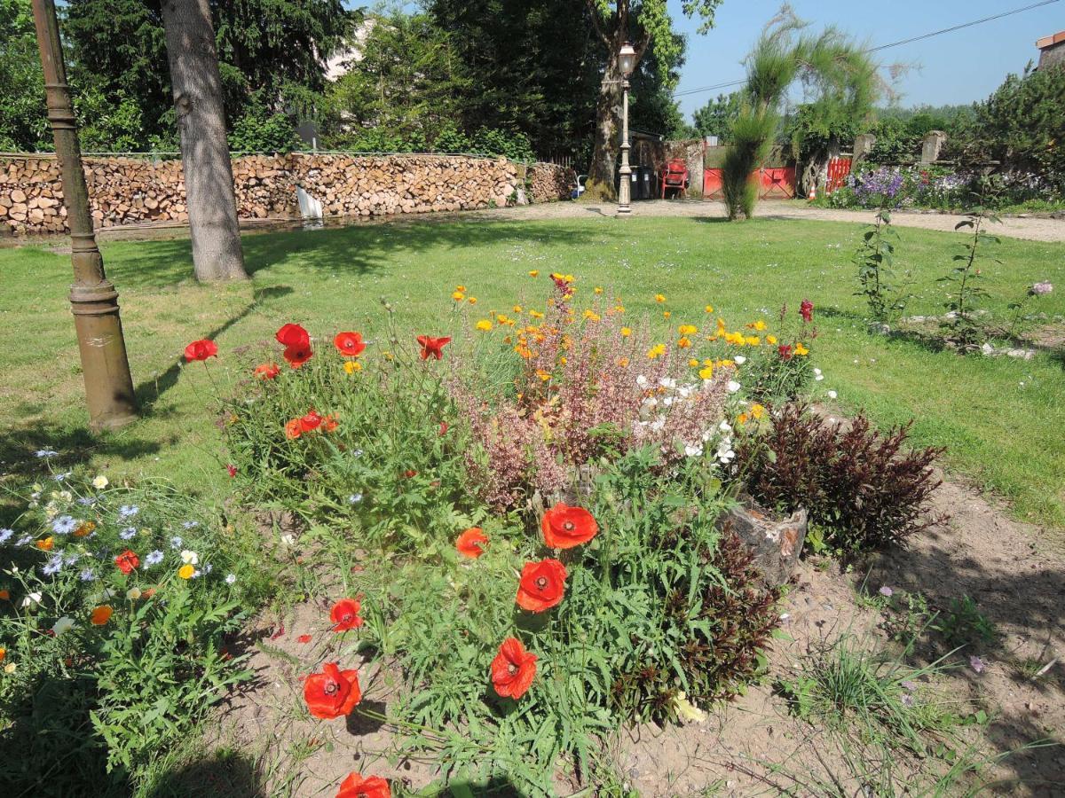 DrainBedloire住宿加早餐旅馆 外观 照片